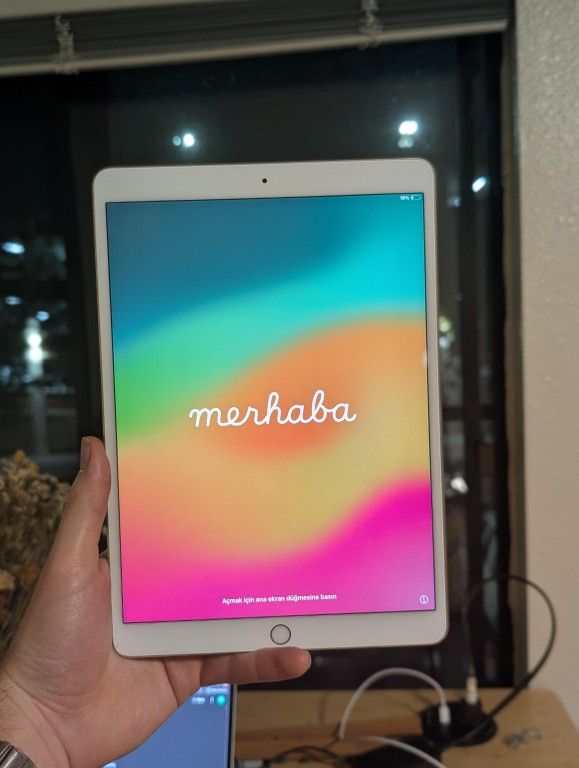 iPad Pro (A1701) with Apple Pencil 256GB