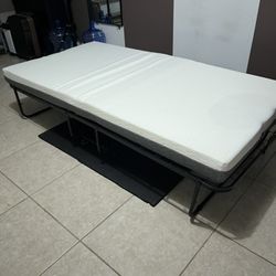 sleeping couch in excellent condition with a memory mattress in excellent condition like new $180 