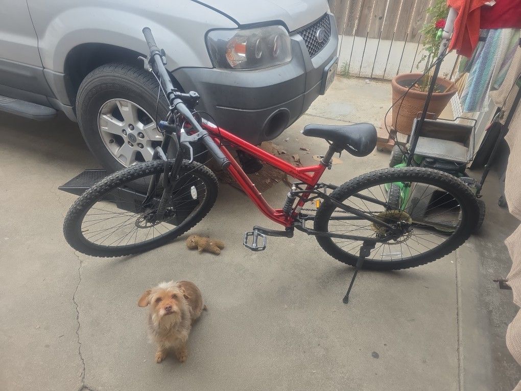 29 In Mountain Bike
