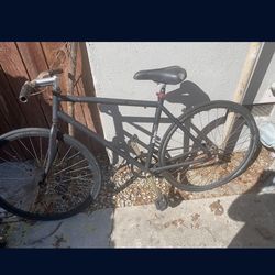 Fixed gear bike