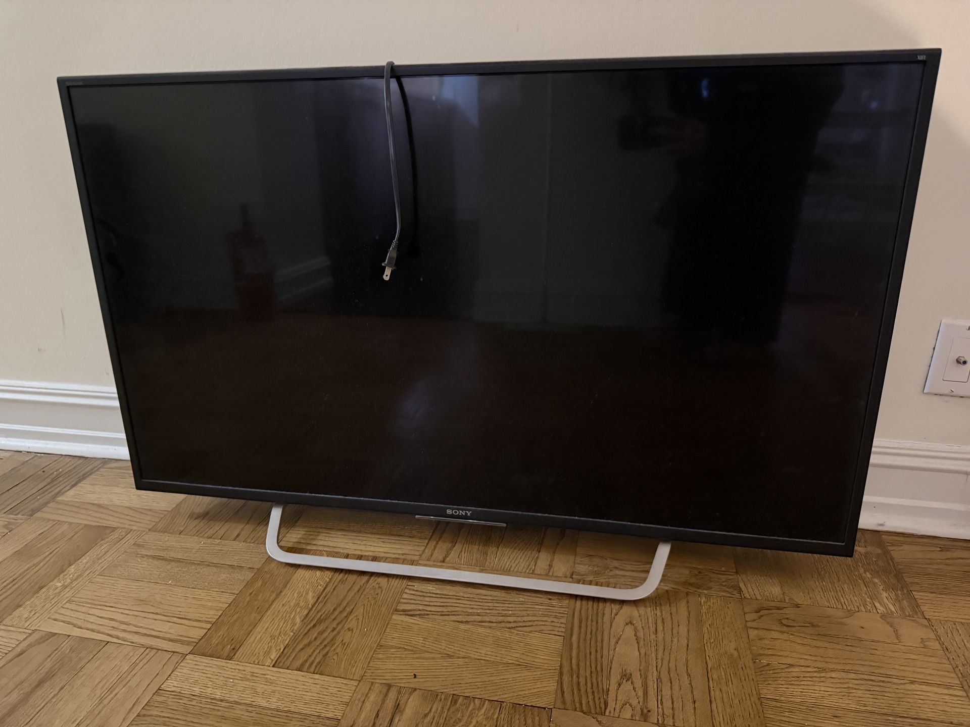 Sony 50 Inch TV
