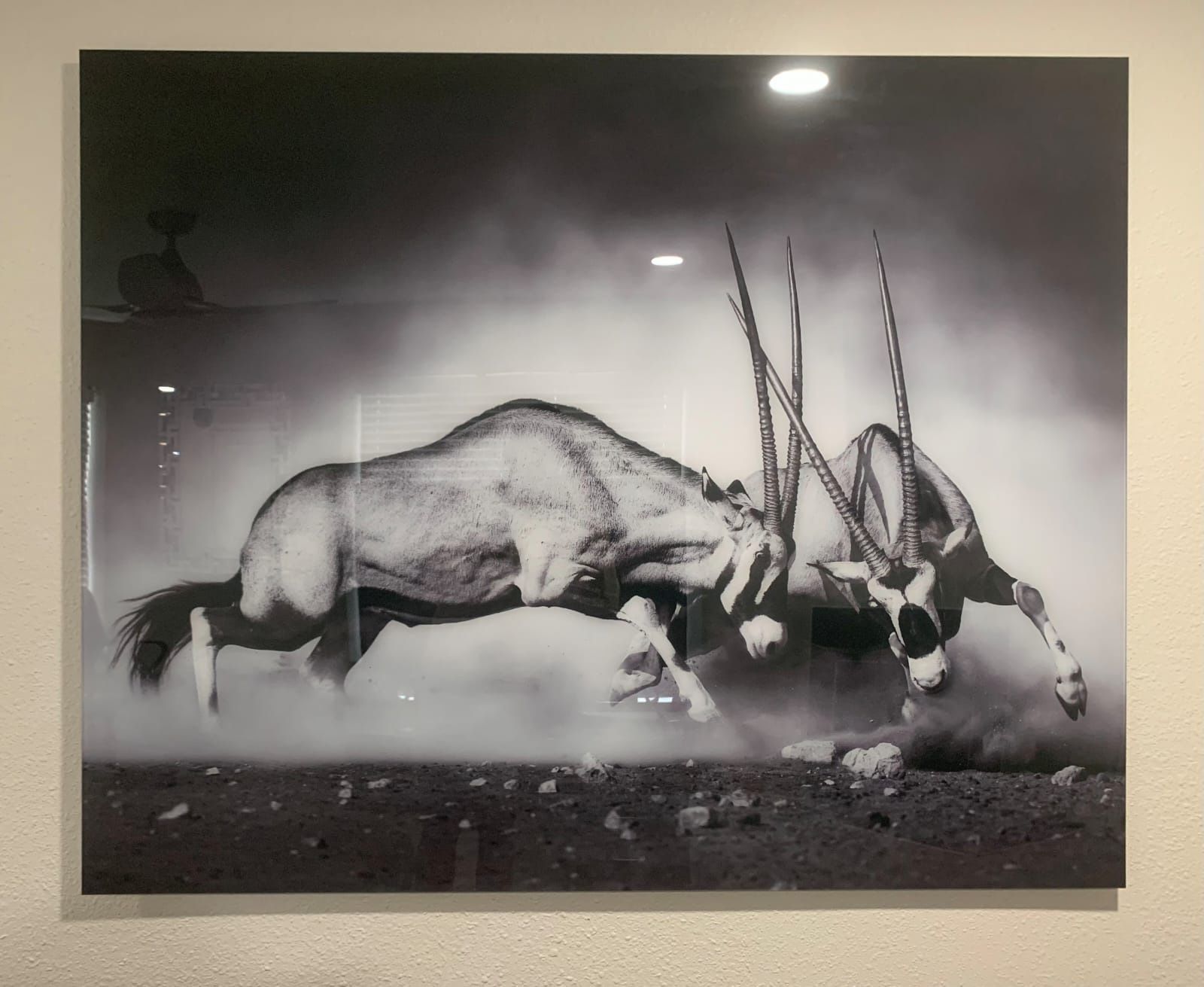 Modani Acrylic Force of Nature Wall Art