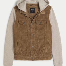 Hollister Men’s Jacket 