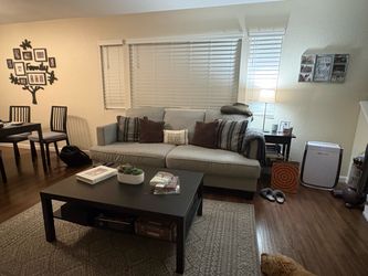 Living Spaces Gray Couch