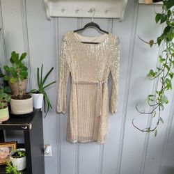 Sequin Dress