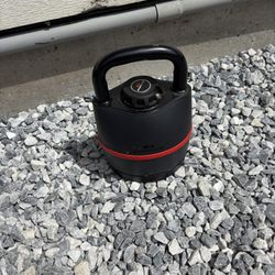 Bowflex Ajustable Kettle Bell 
