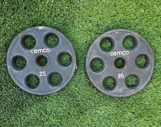 25 lbs Plates (2)
