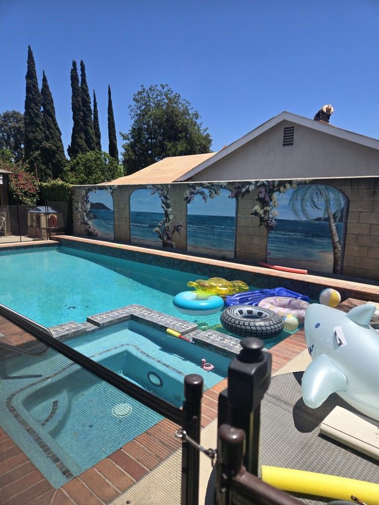 Pool Cleaning
