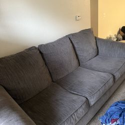 Couch’s 