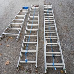 24' Extension Ladders (2) & 8' Step Ladder - Werner
