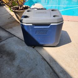 Cooler