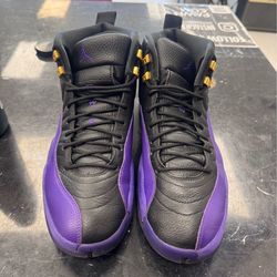 Air Jordan 12 Field Purple