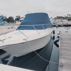 2004 Bayliner 288 Command Bridge/ Fly Bridge