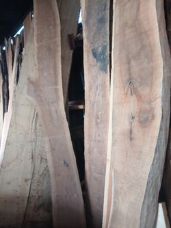 Wood Slabs