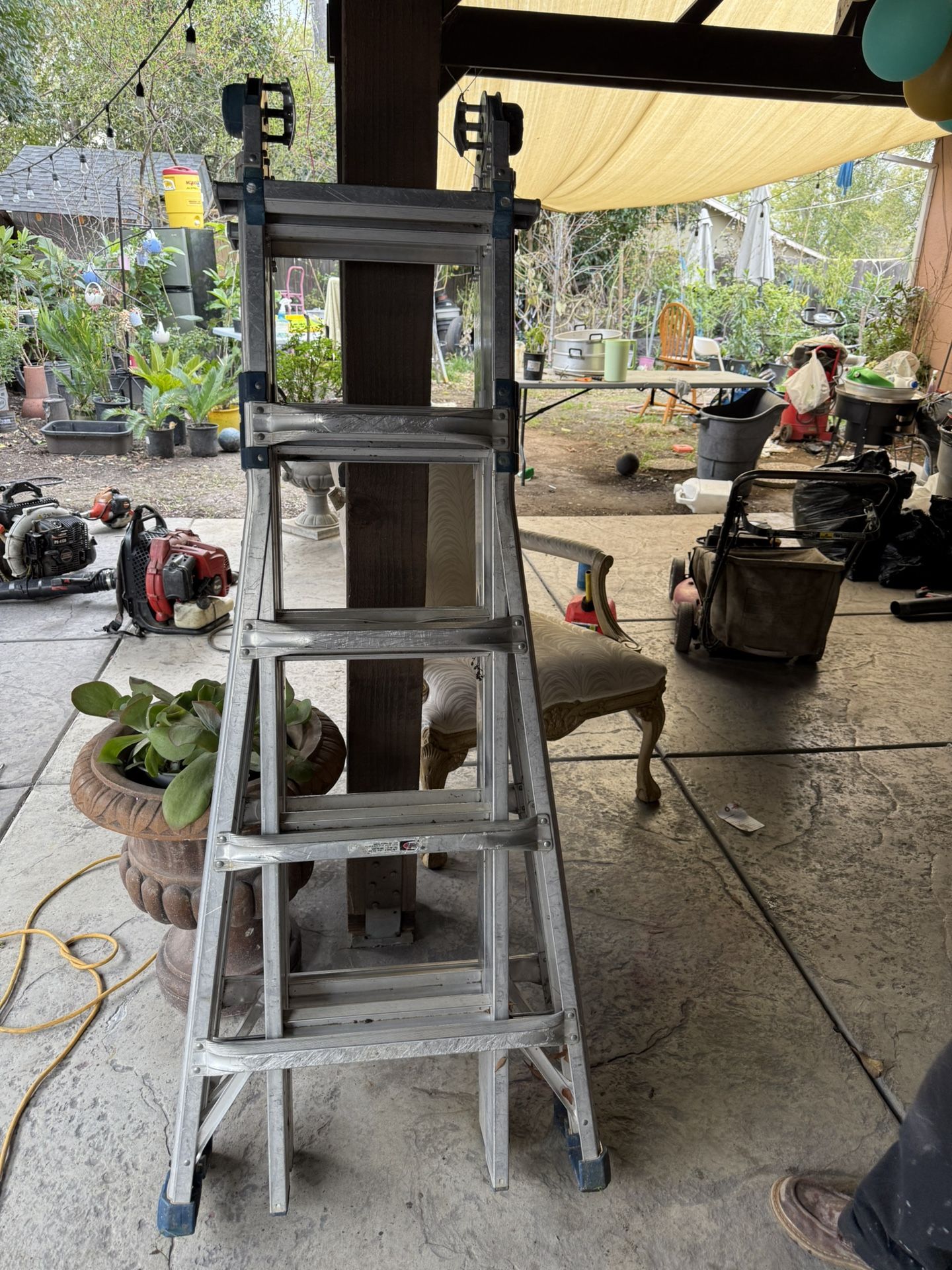 Ladder