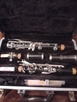 Clarinet by Selmer - Bundy