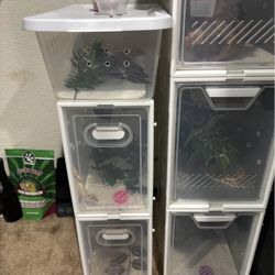 Crested Gecko Enclosures 