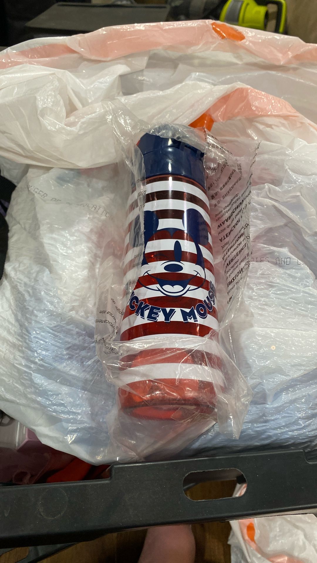 New Mickey Water Bottle