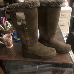 Bear Claw Size 12