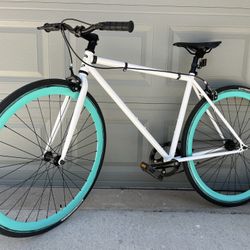 Single Speed “Fixie” Commuter Bike (Size M)