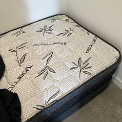 New Cali king new twin all 200$