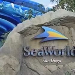 Four SeaWorld San Diego Tickets