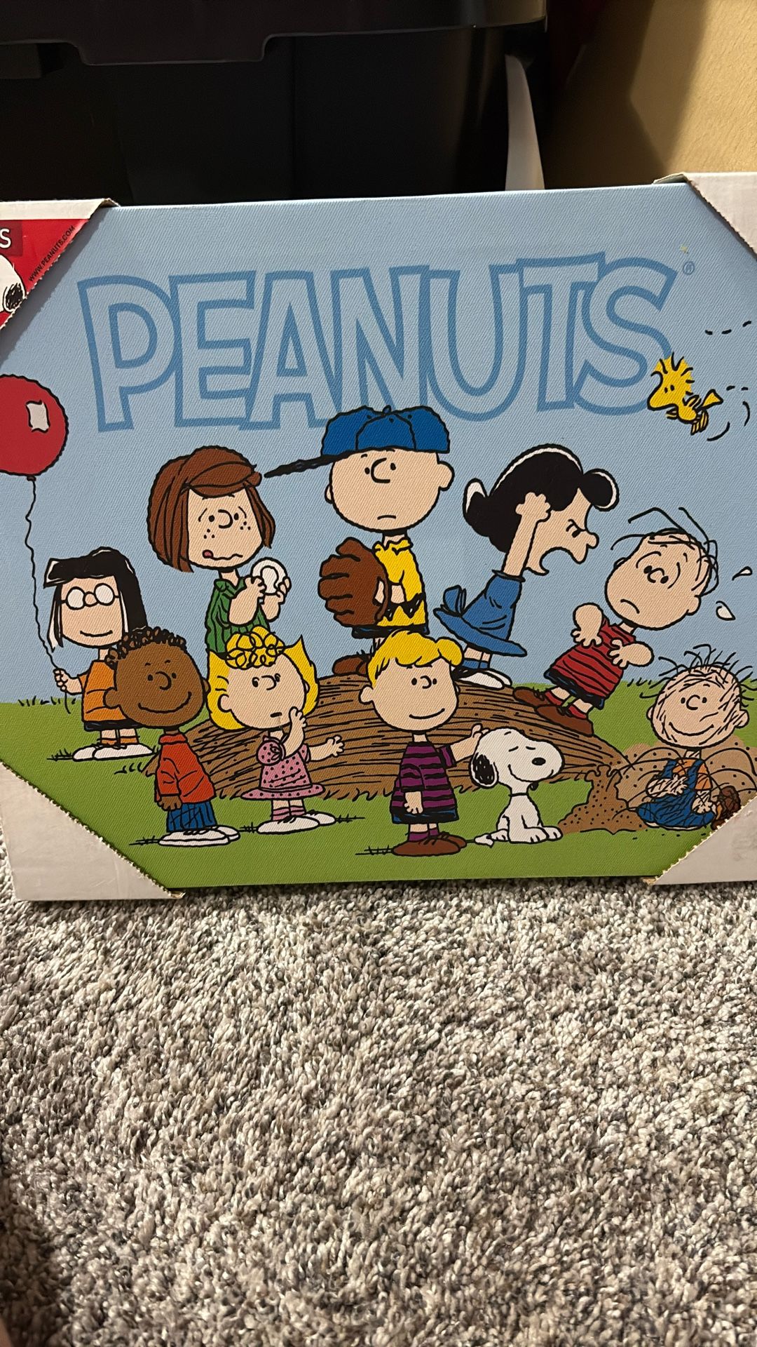 Charlie Brown picture