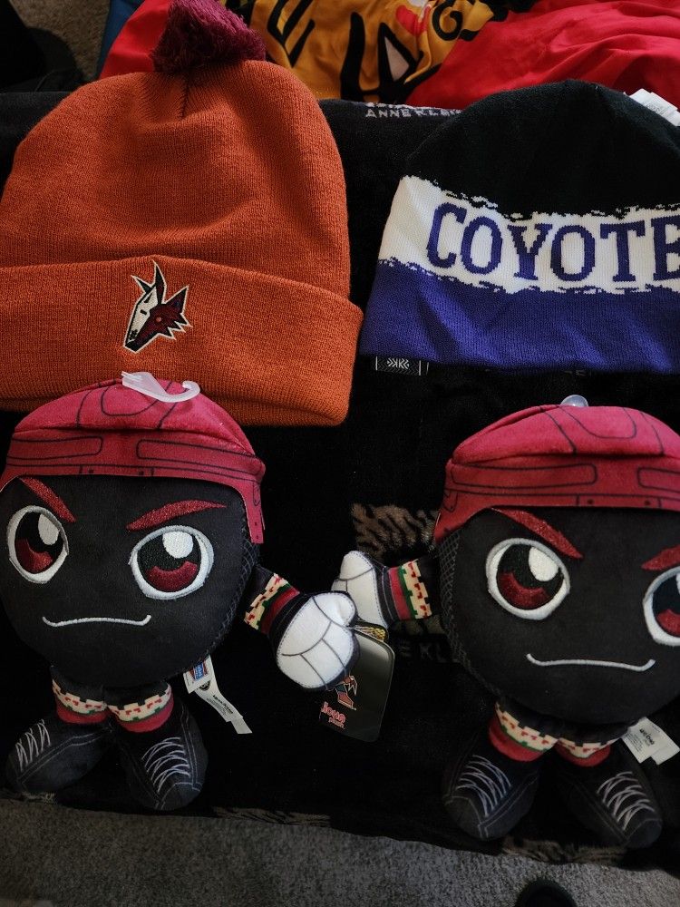 Phoenix Coyotes