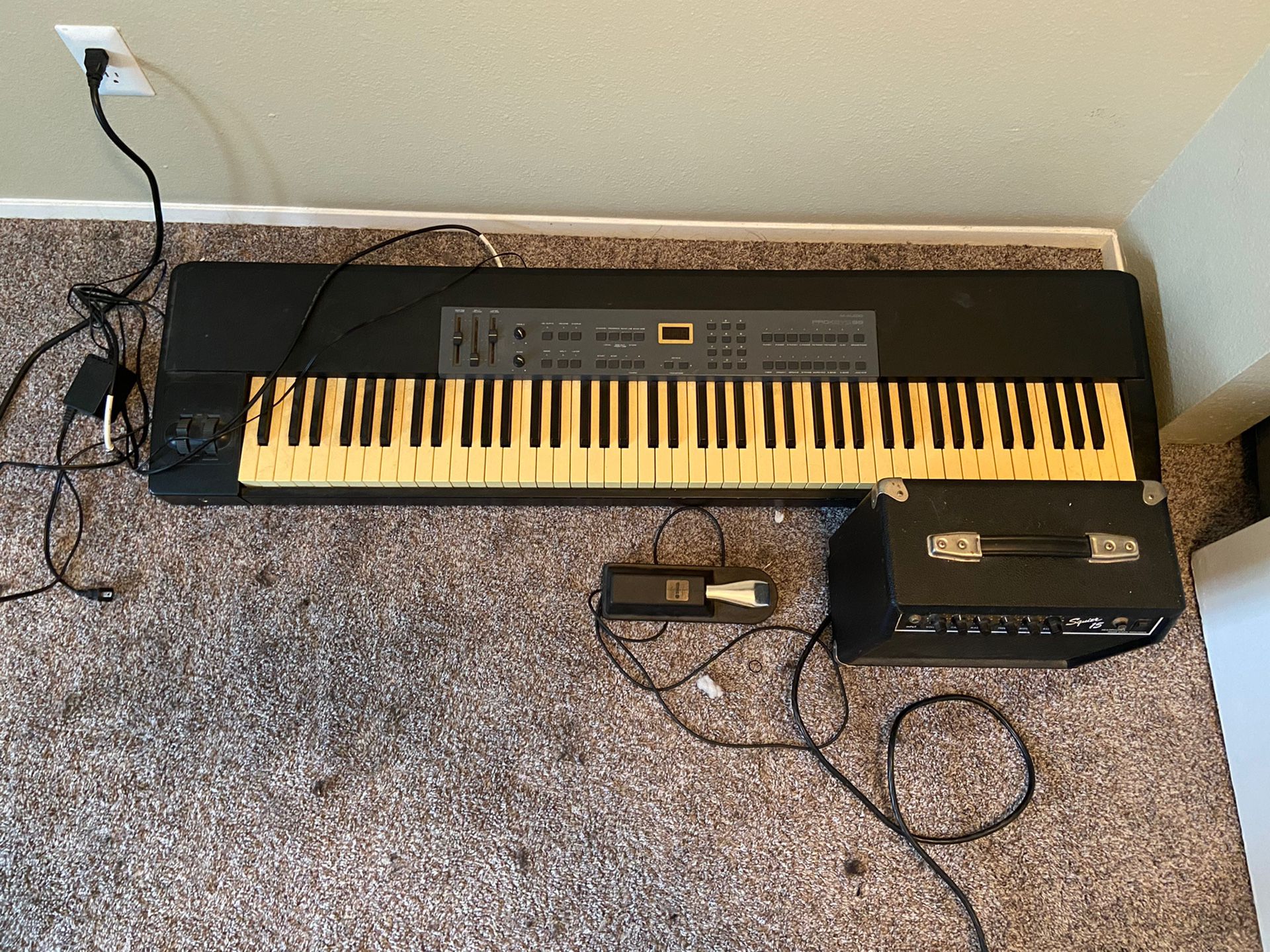 Piano With Weighted Keys + Amp And Pedal 
