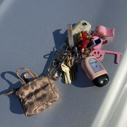 Lost Keys 