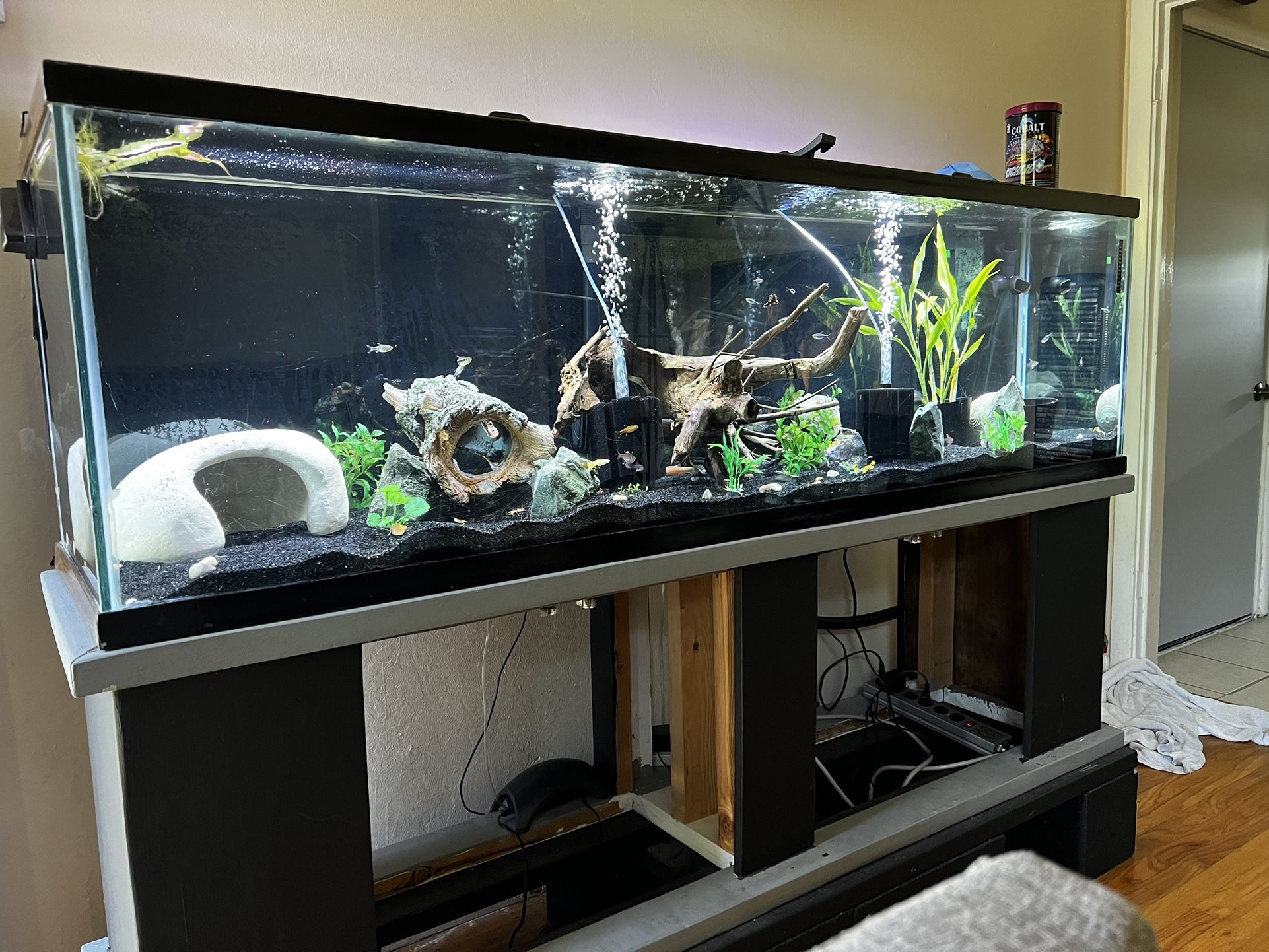 125 Gallon Aquarium