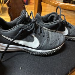 Nike Sneakers  Size 9  