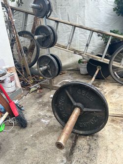 Olympic Weights With Tree
