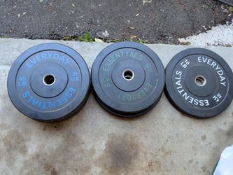 Everyday Essentials weights plates