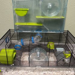 Hamster With The Cage
