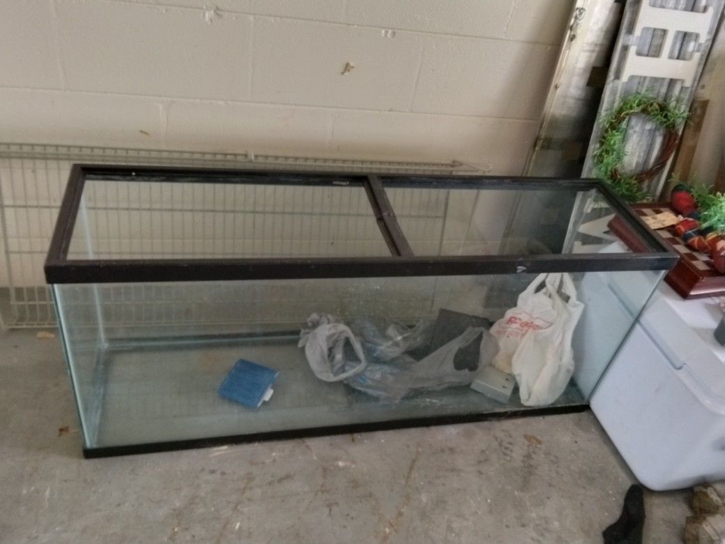 Fish Tank