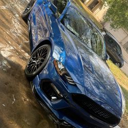 2023 Mustang  Gt Hood