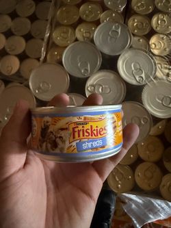Cat Food