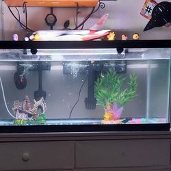 40  Gallon Fish Tank  2 Filters 20 and 60 Gallon  And Stand Light And Digital Heater 