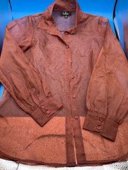 Lulus brown sheer collared blouse M
