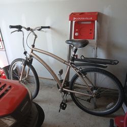 Adult Bike