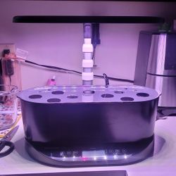 Aerogarden Bounty Basic