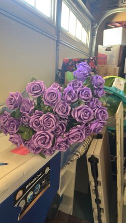 Purple flowers