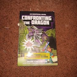 Confronting The Ender Dragon Official Novel.