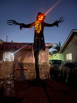 scarecrow