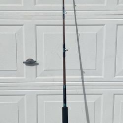 Daiwa Seadline SL30SH Fishing Rod 