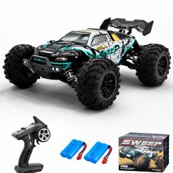 Fast RC Cars for Adults