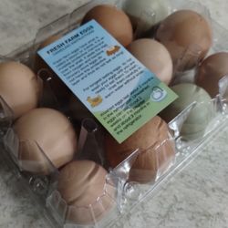 Fresh Eggs