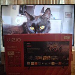 Vizio (50")