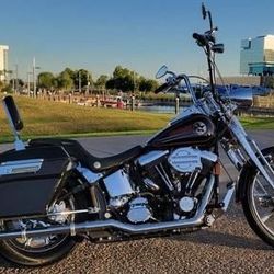 1994 Harley-Davidson Fxsts - Springer Softail